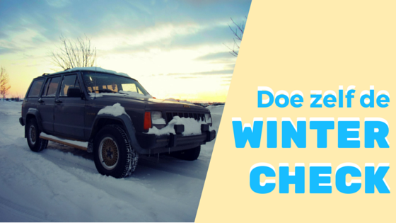 Wintercheck auto